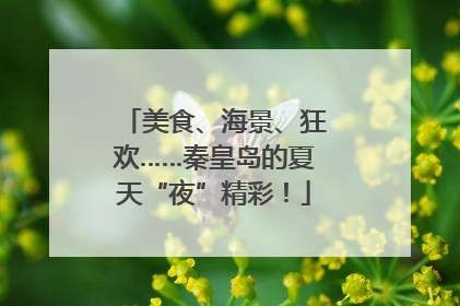 美食、海景、狂欢……秦皇岛的夏天“夜”精彩！