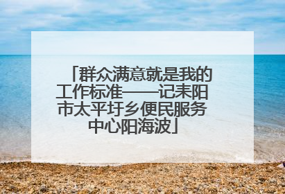 群众满意就是我的工作标准——记耒阳市太平圩乡便民服务中心阳海波