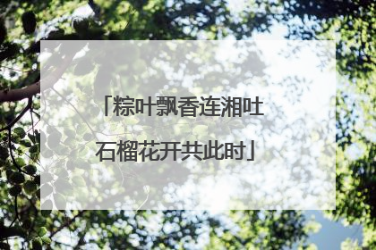 粽叶飘香连湘吐 石榴花开共此时