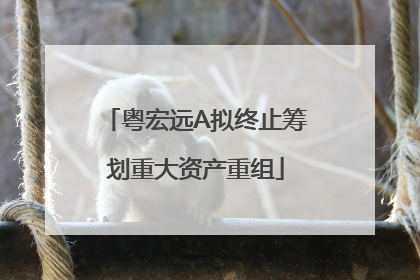 粤宏远A拟终止筹划重大资产重组