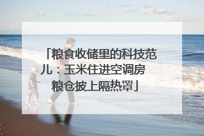 粮食收储里的科技范儿：玉米住进空调房 粮仓披上隔热罩