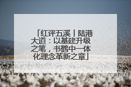 红评五溪丨陆港大道：以基建升级之笔，书鹤中一体化理念革新之章