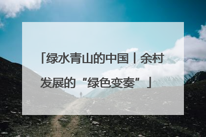 绿水青山的中国丨余村发展的“绿色变奏”