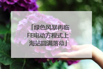 绿色风暴再临 FE电动方程式上海站圆满落幕