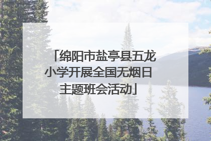 绵阳市盐亭县五龙小学开展全国无烟日主题班会活动