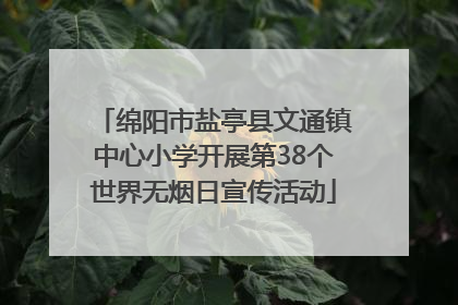 绵阳市盐亭县文通镇中心小学开展第38个世界无烟日宣传活动
