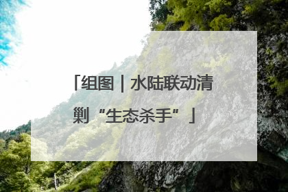 组图｜水陆联动清剿“生态杀手”