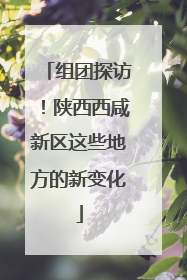 组团探访！陕西西咸新区这些地方的新变化