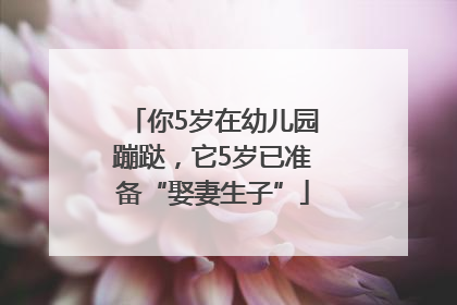 你5岁在幼儿园蹦跶，它5岁已准备“娶妻生子”
