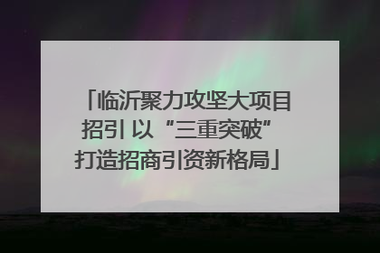 临沂聚力攻坚大项目招引 以“三重突破”打造招商引资新格局