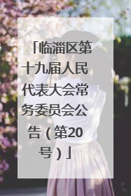 临淄区第十九届人民代表大会常务委员会公告（第20号）