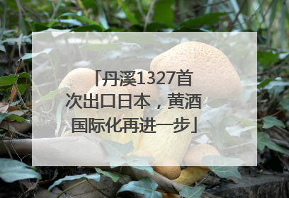 丹溪1327首次出口日本，黄酒国际化再进一步