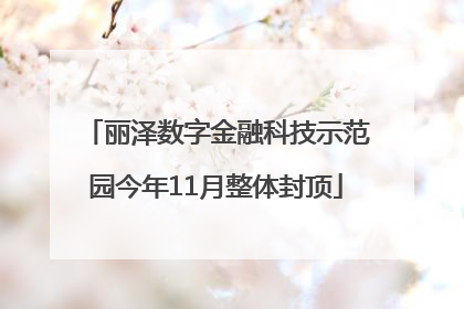 丽泽数字金融科技示范园今年11月整体封顶
