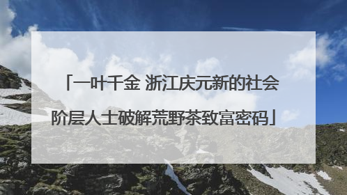 一叶千金 浙江庆元新的社会阶层人士破解荒野茶致富密码