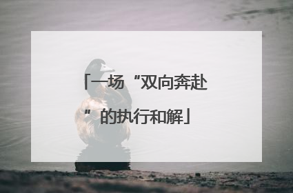 一场“双向奔赴”的执行和解