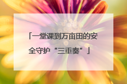 一堂课到万亩田的安全守护“三重奏”