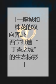 一座城和一株花的双向奔赴——西宁打造“丁香之城”的生态掠影