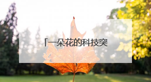一朵花的科技突围——“三用百合”从实验室到产业链的菏泽实践