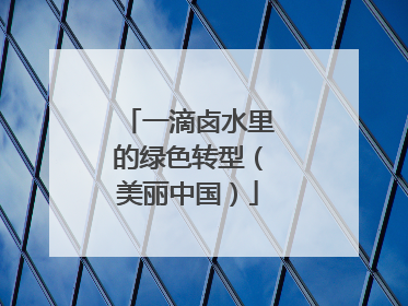 一滴卤水里的绿色转型（美丽中国）