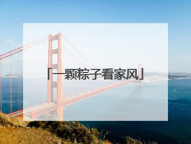 一颗粽子看家风