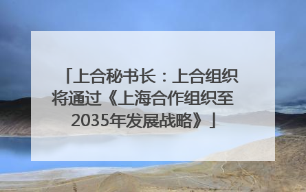 上合秘书长：上合组织将通过《上海合作组织至2035年发展战略》
