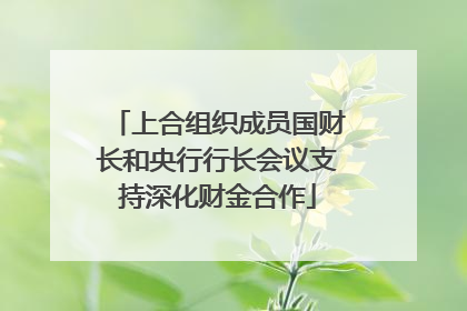 上合组织成员国财长和央行行长会议支持深化财金合作