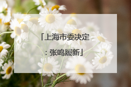 上海市委决定：张鸣履新
