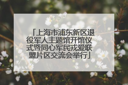 上海市浦东新区退役军人主题馆开馆仪式暨同心军民戎爱联盟片区交流会举行