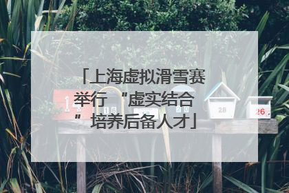 上海虚拟滑雪赛举行 “虚实结合”培养后备人才