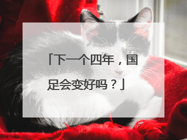 下一个四年，国足会变好吗？