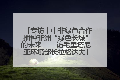 专访丨中非绿色合作播种非洲“绿色长城”的未来——访毛里塔尼亚环境部长拉格达夫
