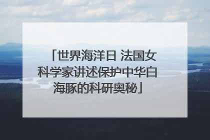 世界海洋日 法国女科学家讲述保护中华白海豚的科研奥秘