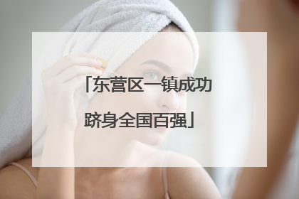 东营区一镇成功跻身全国百强