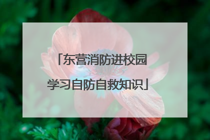 东营消防进校园 学习自防自救知识