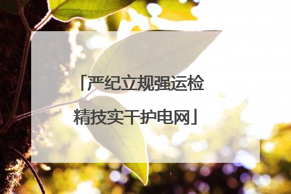 严纪立规强运检 精技实干护电网