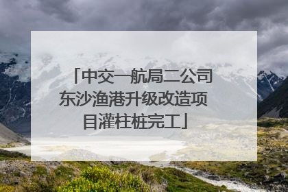 中交一航局二公司东沙渔港升级改造项目灌柱桩完工