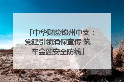 中华财险锦州中支：党建引领消保宣传 筑牢金融安全防线