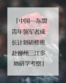 中国—东盟青年领军者成长计划研修班赴柳州三江多地研学考察