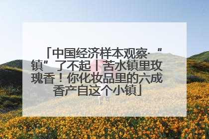 中国经济样本观察·“镇”了不起丨苦水镇里玫瑰香！你化妆品里的六成香产自这个小镇