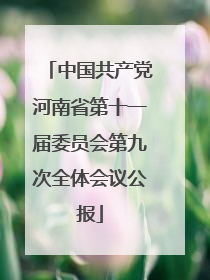 中国共产党河南省第十一届委员会第九次全体会议公报