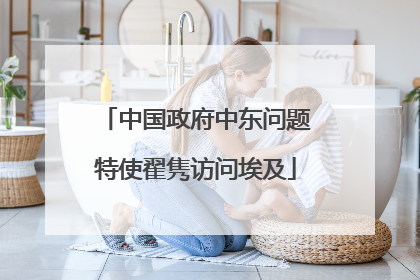 中国政府中东问题特使翟隽访问埃及