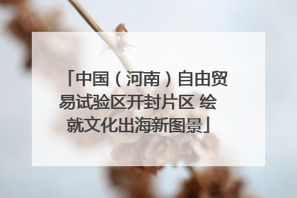 中国（河南）自由贸易试验区开封片区 绘就文化出海新图景
