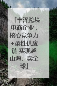 丰泽跨境电商企业：核心竞争力+柔性供应链 实现越山海、卖全球