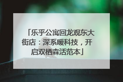 乐乎公寓回龙观东大街店：深系暖科技，开启双栖森活范本