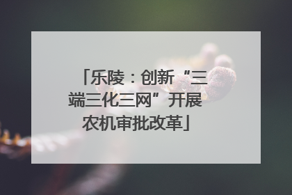 乐陵：创新“三端三化三网”开展农机审批改革