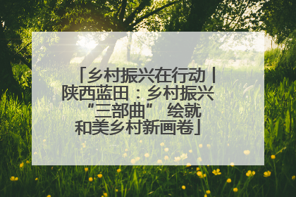 乡村振兴在行动丨陕西蓝田：乡村振兴 “三部曲” 绘就和美乡村新画卷