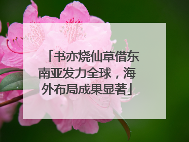 书亦烧仙草借东南亚发力全球，海外布局成果显著