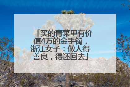 买的青菜里有价值4万的金手镯，浙江女子：做人得善良，得还回去