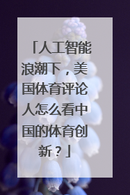 人工智能浪潮下，美国体育评论人怎么看中国的体育创新？