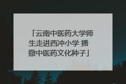 云南中医药大学师生走进西冲小学 播撒中医药文化种子